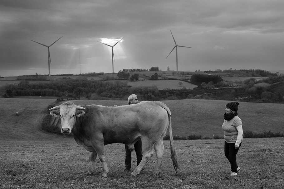 Gigantes y molinos