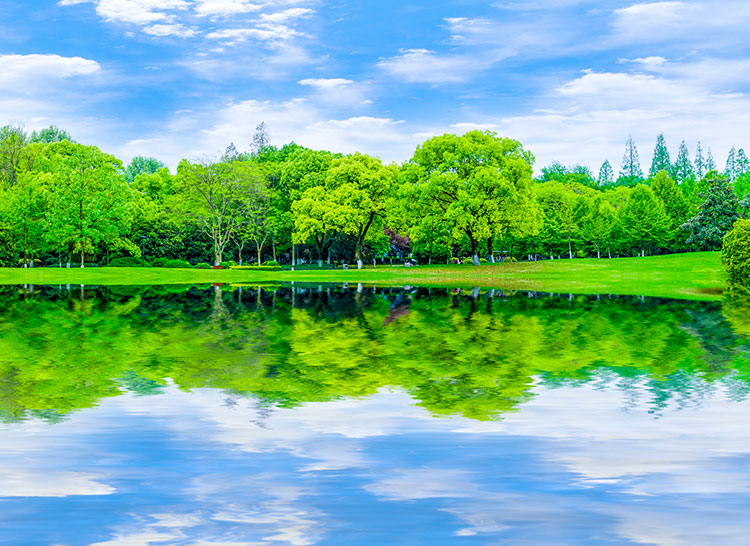 Imagen de naturaleza