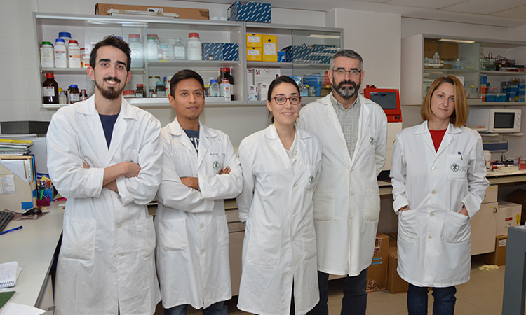 La Fundación ”la Caixa” destina 1,8 millones a seis proyectos de investigación e innovación para hacer frente al coronavirus