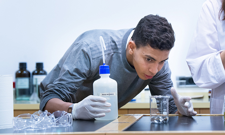 Excelencia académica y equidad social