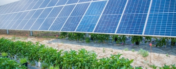 Endesa alcanza en julio el primer TWh de producción solar en España