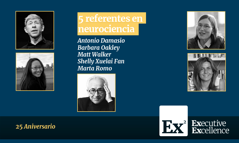 Inmersión en el cerebro