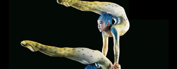 Acrobatas del Circo del Sol