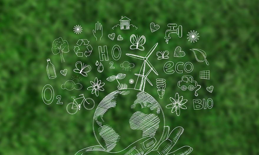 El desafío 80-20, Peter Senge