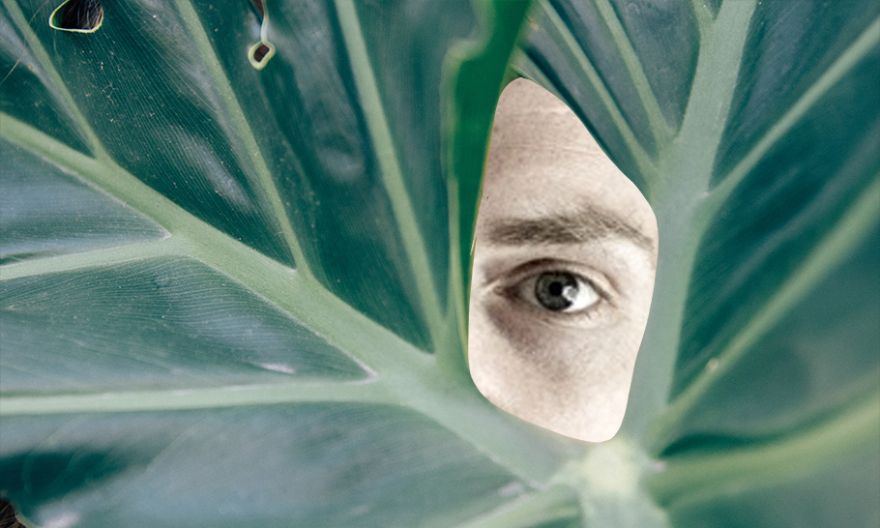 El súper poder oculto