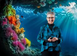 Teresa Amabile, prof Harvard