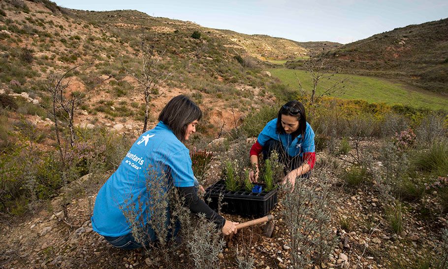 Voluntarios de CaixaBank reforestando un terreno